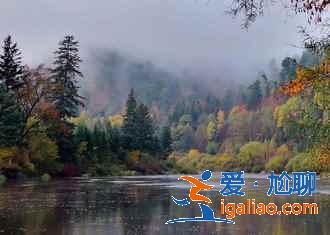 中國(guó)最大的森林城市，來(lái)這里洗洗肺吧??？