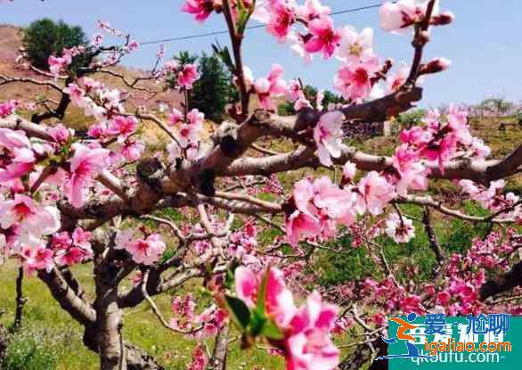 丹東旅游景點(diǎn)哪里好玩 丹東旅游景點(diǎn)必去的地方？