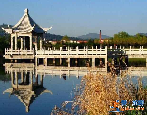 中國(guó)最大的森林城市，來(lái)這里洗洗肺吧??？