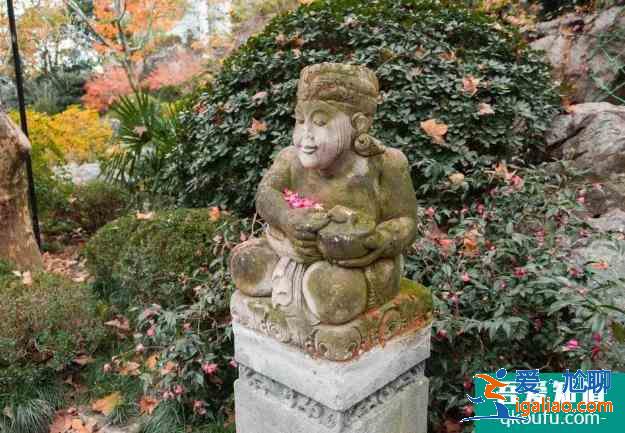 上海靜安公園有什么好玩的 靜安公園地址？