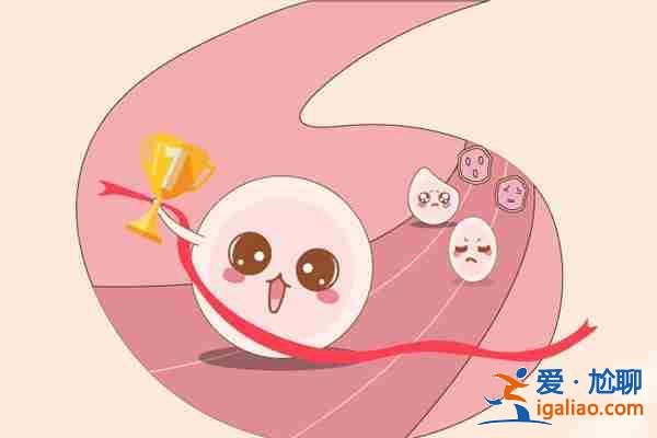 代生孩子電話【院長首薦】？