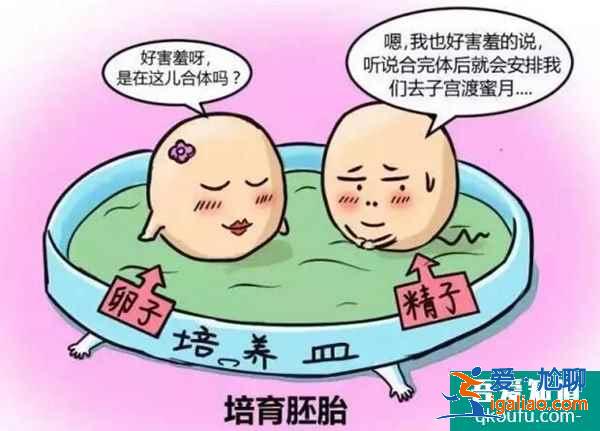 試管嬰兒的原理是什么？？