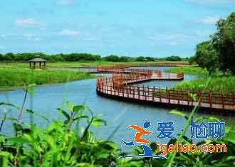 撫遠有什么好玩的，撫遠必游景點推薦？