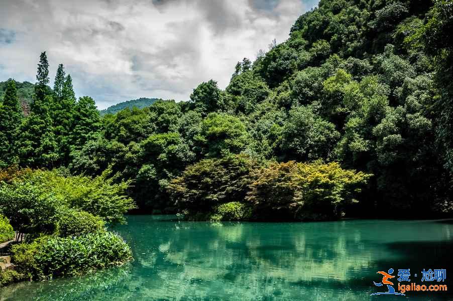 九溪煙樹要門票嗎?九溪煙樹門票多少錢?九溪煙樹門票價格是多少?? 九溪煙樹要門票嗎?九溪煙樹門票多少錢?九溪煙樹門票價格是多少??
