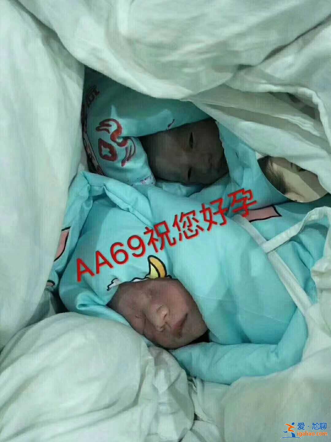日照代生孩子，吃什么菜助孕效果最佳？