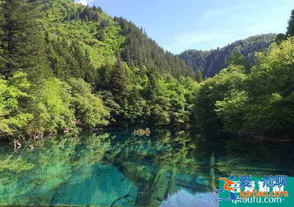 九寨溝景區(qū)游覽路線圖 九寨溝景區(qū)怎么坐車？