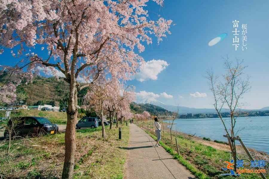 幾月觀賞富士山好,觀賞富士山最佳時(shí)間 地點(diǎn) 乘車? 幾月觀賞富士山好,觀賞富士山最佳時(shí)間 地點(diǎn) 乘車?