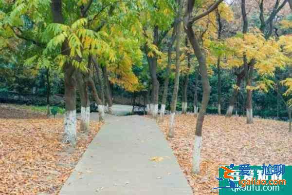 2021成都植物園門票 成都植物園一日游攻略？