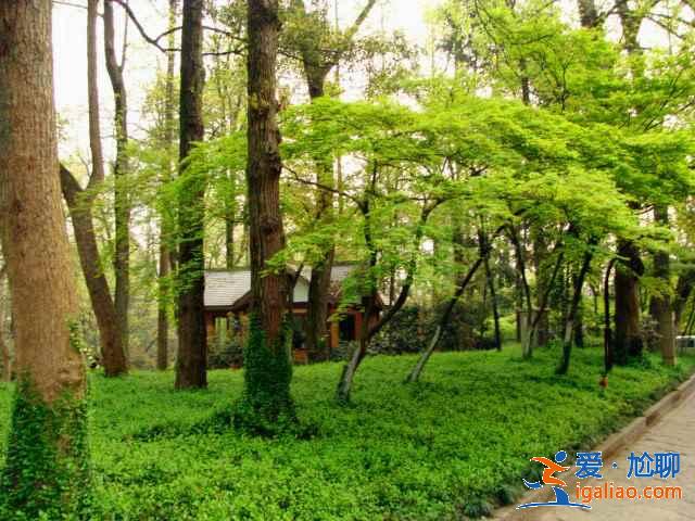 太子灣公園要不要門票？太子灣公園是免費的嗎？？