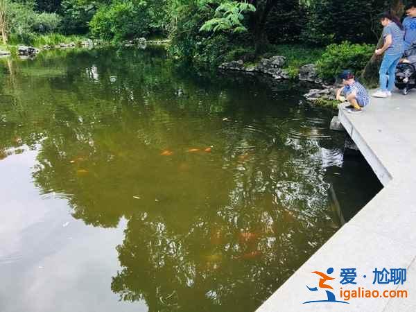 花港觀魚(yú)有什么傳說(shuō),花港觀魚(yú)有什么典故,花港觀魚(yú)的歷史典故? 花港觀魚(yú)有什么傳說(shuō),花港觀魚(yú)有什么典故,花港觀魚(yú)的歷史典故?