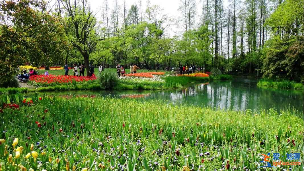 太子灣公園要不要門票？太子灣公園是免費的嗎？？