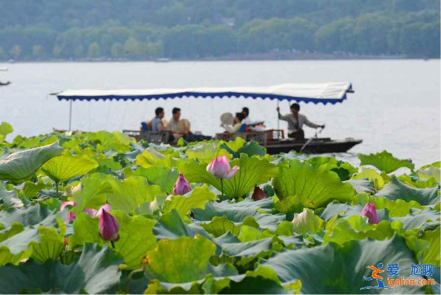 西湖環(huán)湖游有哪些方式，西湖環(huán)湖游攻略，怎樣環(huán)游西湖？
