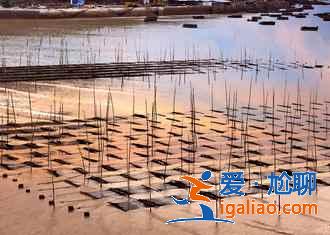 【霞浦最佳旅游時間】霞浦什么時候去最好，霞浦什么季節(jié)最好？