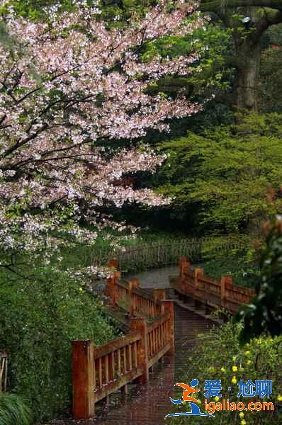 太子灣公園幾月份去好？太子灣公園最佳旅游時間是什么時候？？