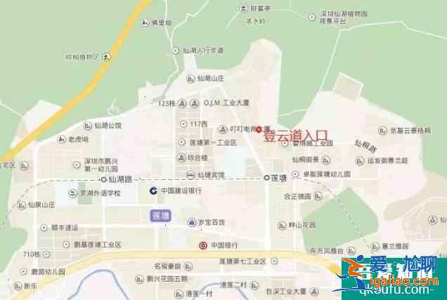 2021梧桐山毛棉杜鵑花會時間及活動詳情？