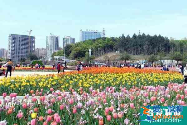 2021湖南植物園櫻花什么時候開 湖南植物園適合幾月份去？