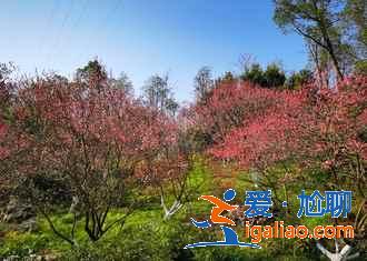 【門票】常德歡樂水世界門票多少錢，常德歡樂水世界門票價(jià)格？