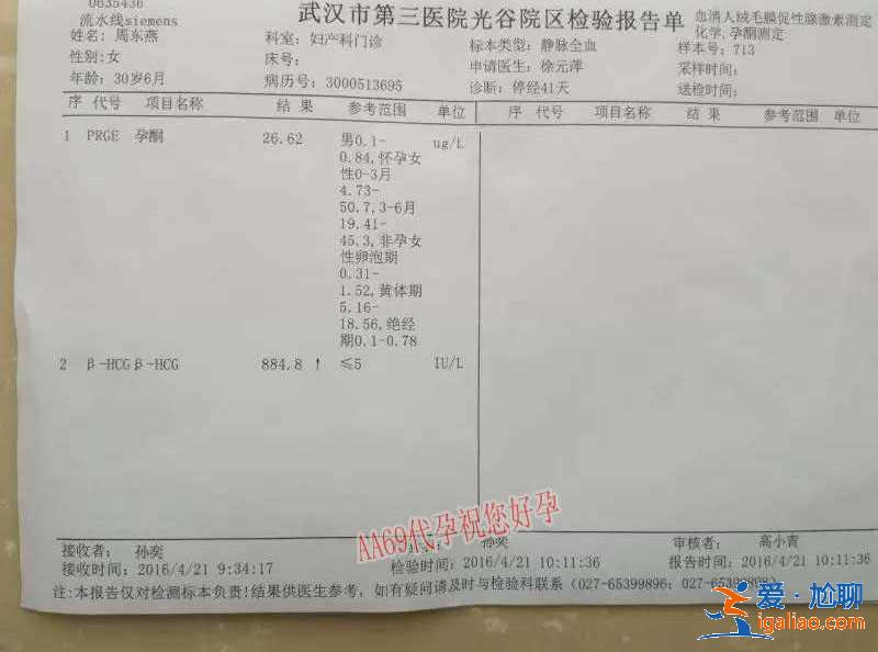 西北婦幼可以助孕嗎-選擇我們？