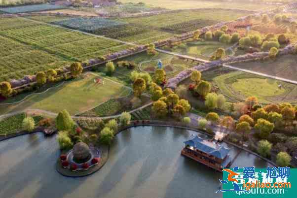 上海紫藤園綜合體什么時(shí)候開(kāi)放 中國(guó)最大紫藤主題園？