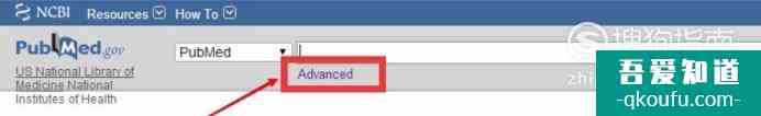 如何使用PubMed？