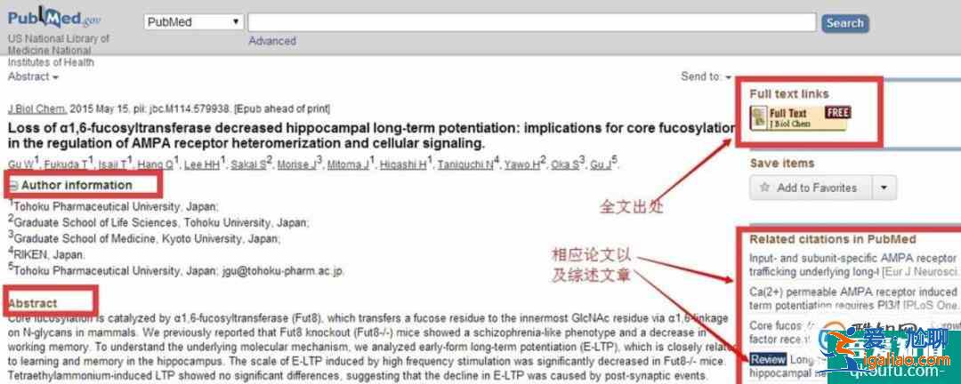 如何使用PubMed？