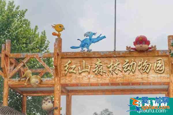 2021紅山森林動物園營業(yè)時間 紅山森林動物園門票多少？