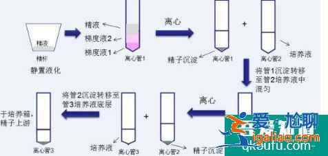 泰國(guó)試管嬰兒洗精技術(shù)艾滋病患者的福音？