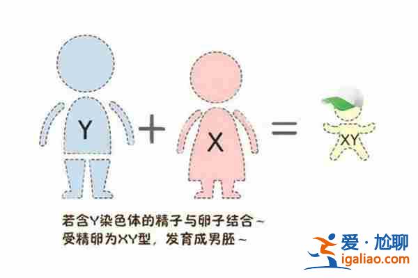 推薦代生孩子價格聯(lián)系方式[ 費(fèi)用透明 ]？
