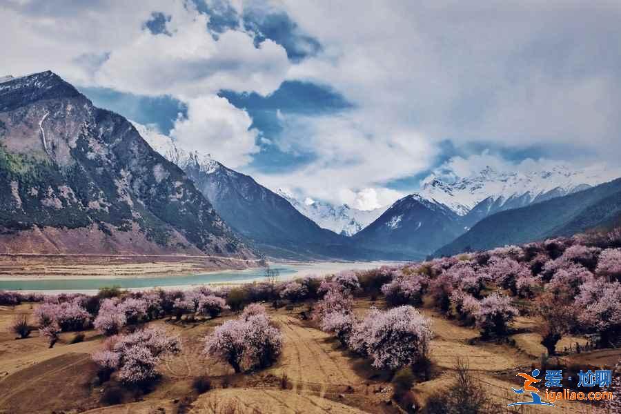 【林芝旅游】林芝12個(gè)月景色看點(diǎn)？