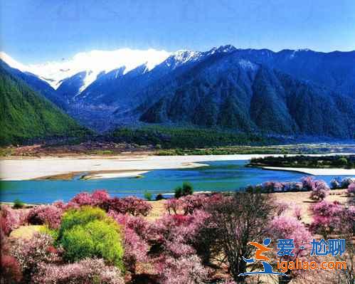 【林芝旅游】林芝12個(gè)月景色看點(diǎn)？