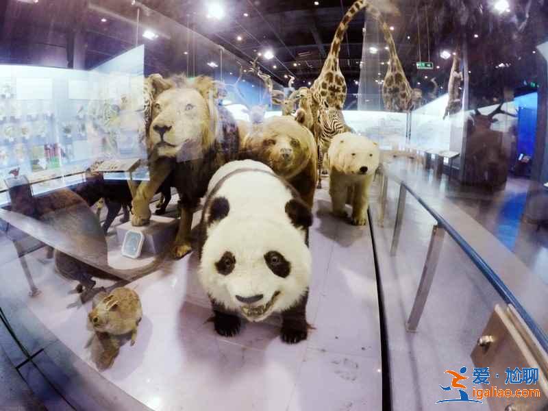 西湖文化廣場有什么好玩的，西湖文化廣場好玩嗎，西湖文化廣場怎么樣？