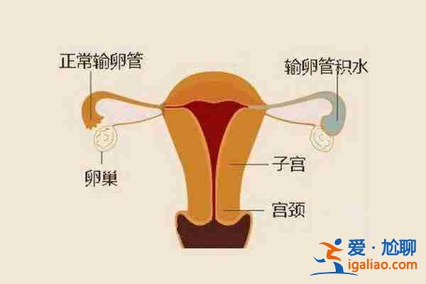 拉薩哪個(gè)助孕機(jī)構(gòu)好_10天圓夢？