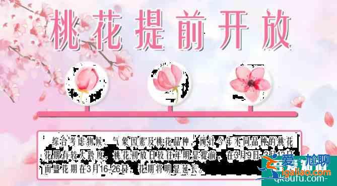 陽山桃花節(jié)2021時(shí)間及轉(zhuǎn)車攻略？