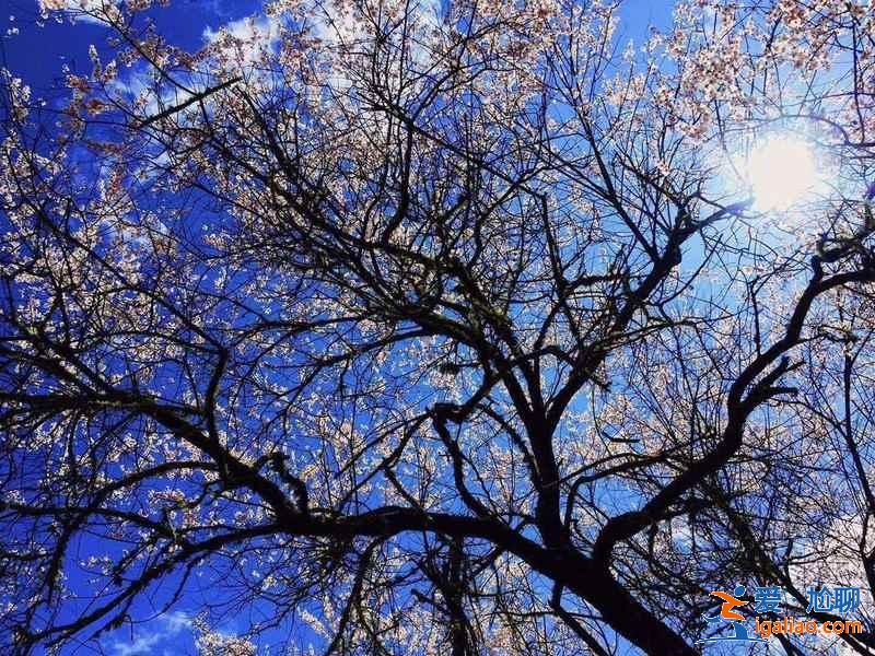 國內(nèi)有哪些冷門又好玩的地方，國內(nèi)人少景美的八大出游地？
