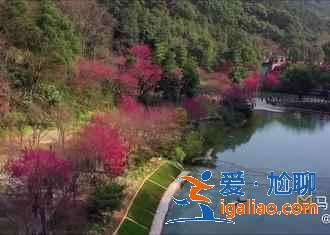 國內(nèi)有哪些冷門又好玩的地方，國內(nèi)人少景美的八大出游地？