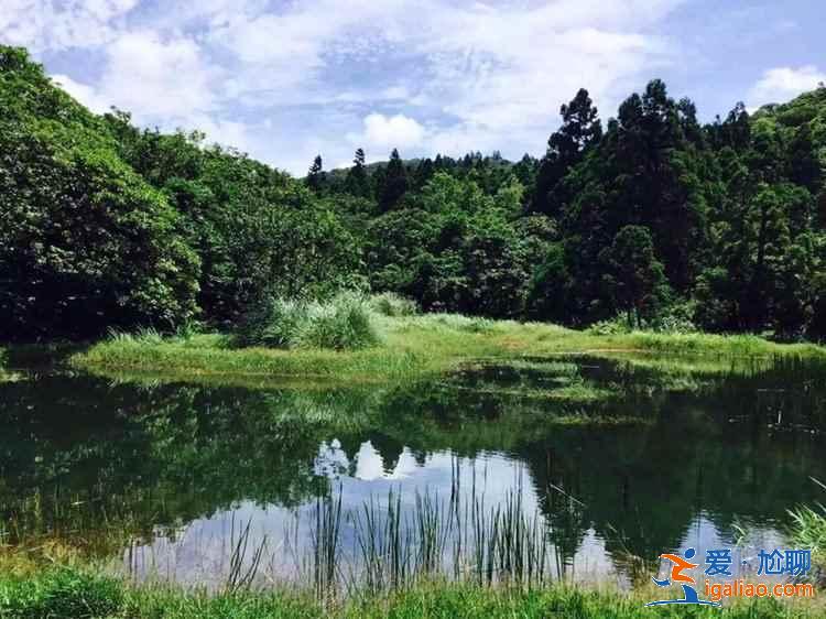 陽明山國家公園好玩嗎,陽明山國家公園哪里好玩,陽明山國家公園游玩攻略? 陽明山國家公園好玩嗎,陽明山國家公園哪里好玩,陽明山國家公園游玩攻略?