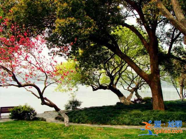 蘇堤春曉夏天好玩嗎，蘇堤春曉適合夏天去嗎，蘇堤春曉夏天好看嗎？