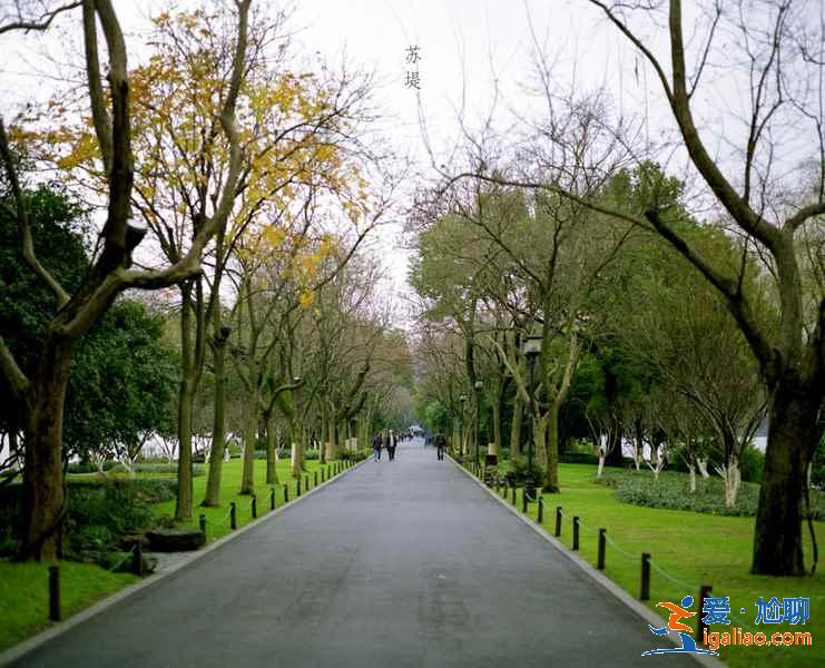 蘇堤春曉夏天好玩嗎，蘇堤春曉適合夏天去嗎，蘇堤春曉夏天好看嗎？