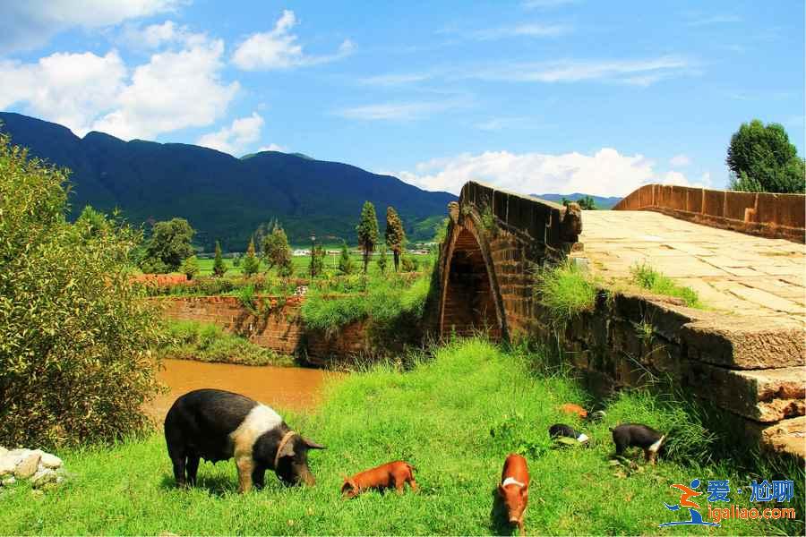 【暑假去哪里旅游便宜】2019暑假去哪里旅游便宜又好玩，暑假適合去哪里旅游？