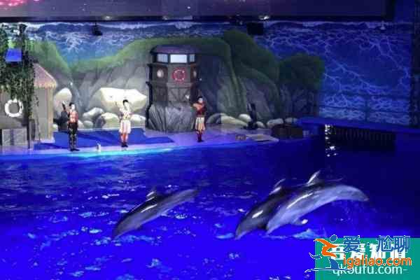 2021南寧海底世界門票多少錢一張 南寧海底世界表演時間 開館時間？
