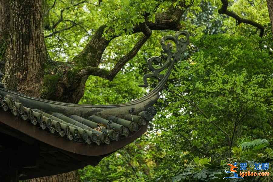 西湖孤山好玩嗎,西湖孤山游玩攻略? 西湖孤山好玩嗎,西湖孤山游玩攻略?