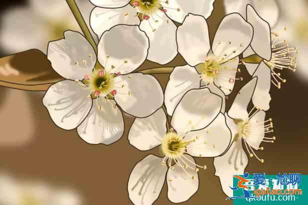肥城桃花節(jié)是幾月幾日2021 泰安賞花的地方？