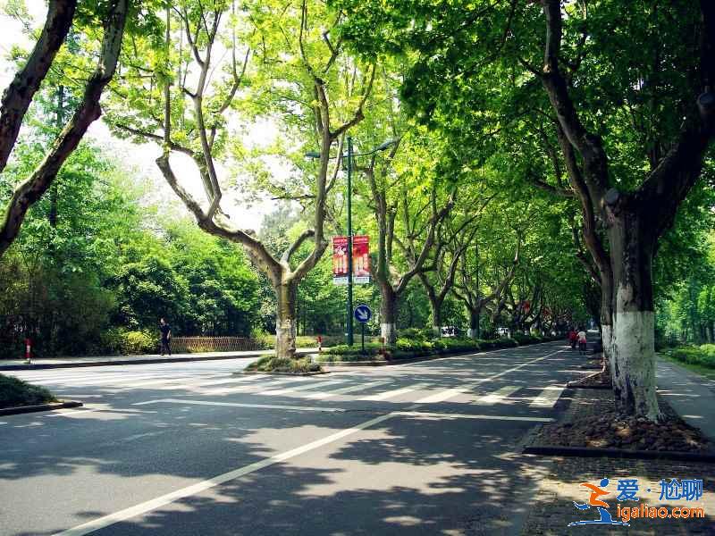 太子灣公園附近有什么景點(diǎn)？太子灣公園附近有什么好玩的？太子灣公園周邊有什么景點(diǎn)？？