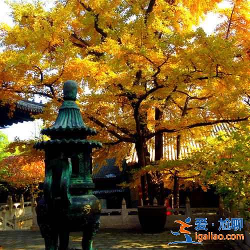 懷柔有什么好玩的，2019懷柔旅游景點(diǎn)推薦？