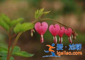 【菏澤有什么玩的】菏澤有什么旅游景點(diǎn)，菏澤有什么好玩的地方？