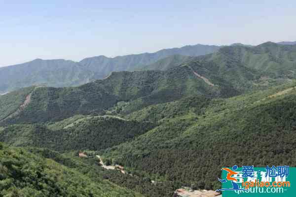 2021九龍山國(guó)家森林公園要門(mén)票嗎？