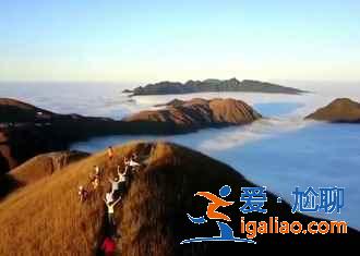 武功山:群山懷抱的天上草原? 武功山:群山懷抱的天上草原?