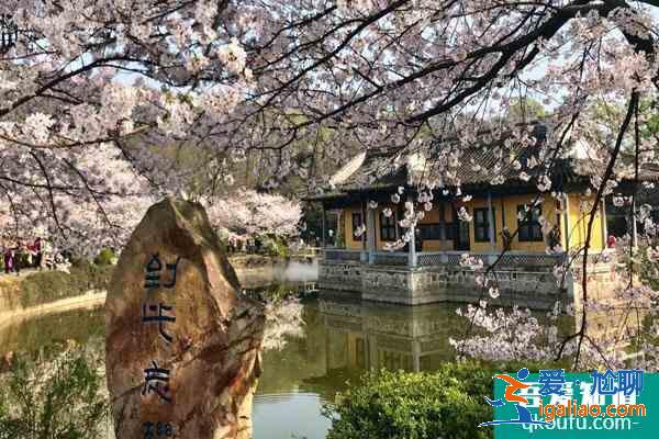 無錫看梅花的地方 無錫賞梅哪里最好？