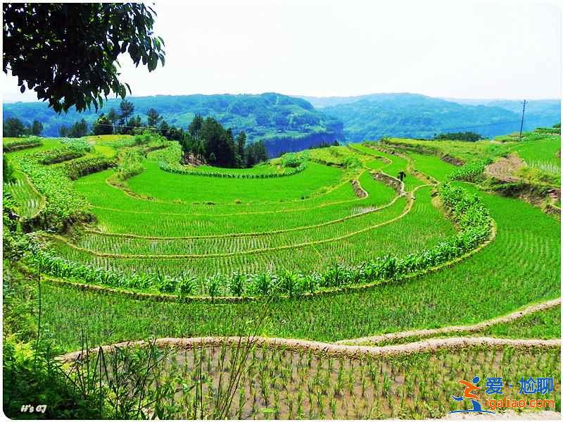【湖北夏天有什么好玩的】2019湖北夏天哪里好玩，湖北哪里好玩又便宜？