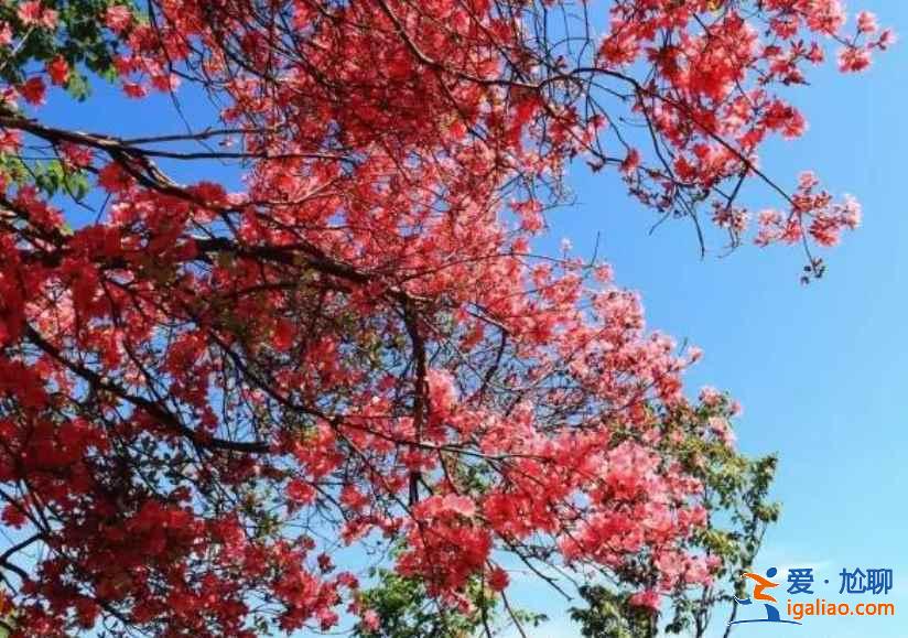 【湖北夏天有什么好玩的】2019湖北夏天哪里好玩，湖北哪里好玩又便宜？